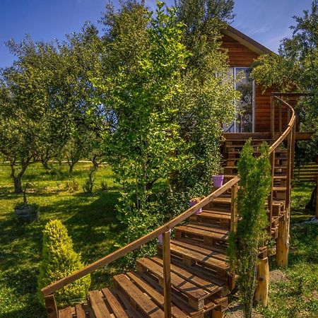 فندق Fairytale Koukounariá المظهر الخارجي الصورة